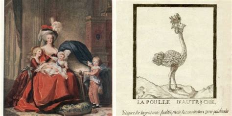 alluc marie antoinette|Marie Antoinette in the Public Eye .